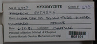 Image Associated With the Occurence